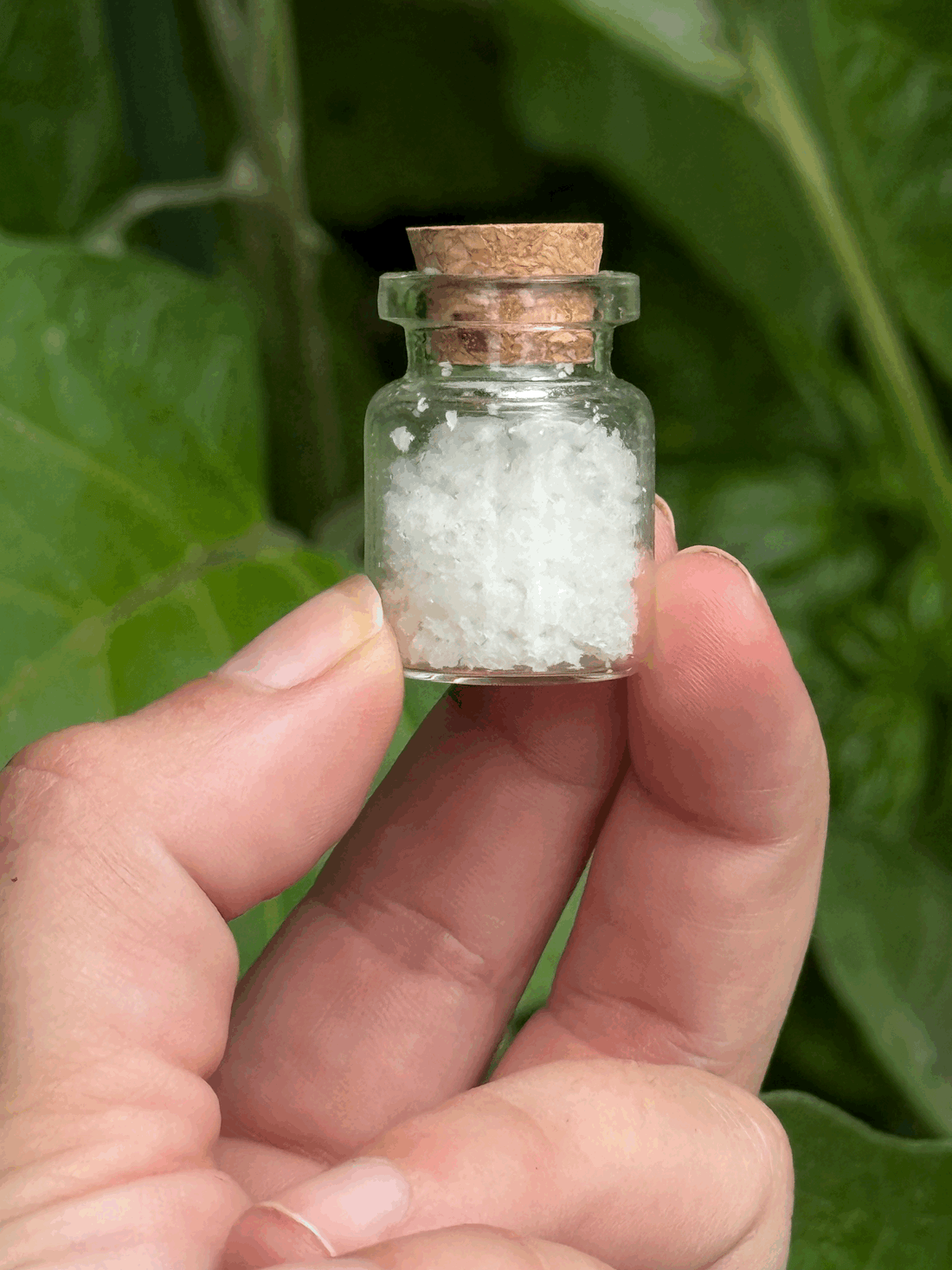 Salt, Protection, and a Pinch of Luck