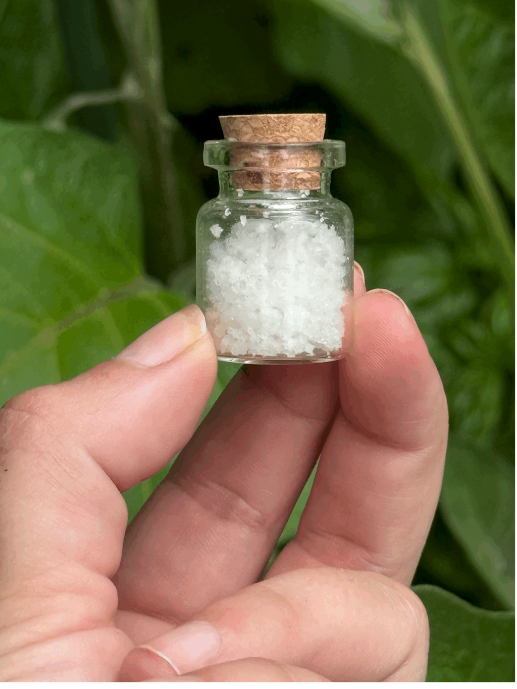 Aunt Loretta’s Protection & Travel Salt
